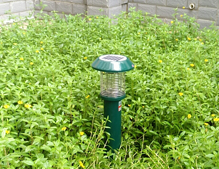 大面積戶外蚊子消殺用什么辦法